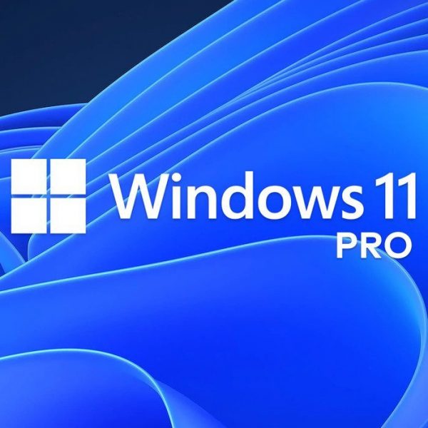 Windows 11 Pro